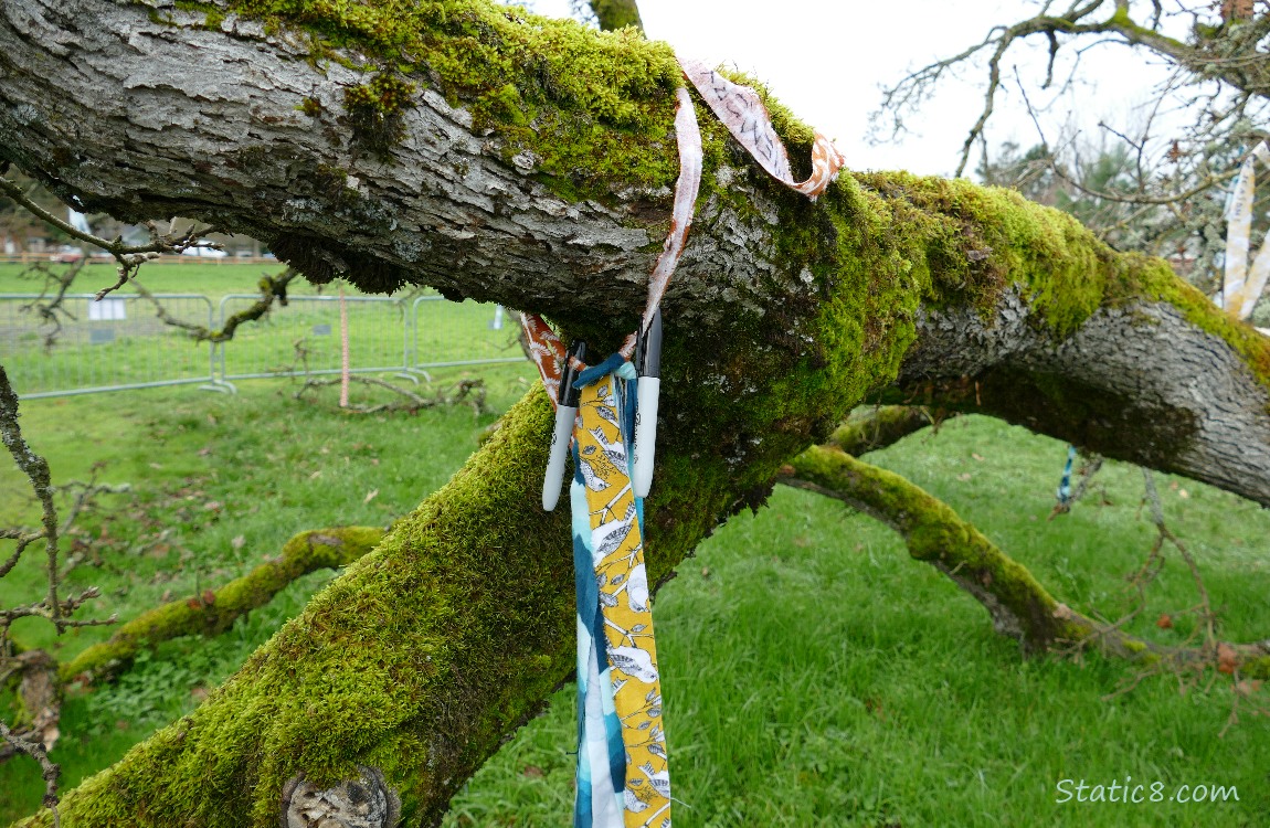 Streamers and sharpies wrapped around a branch
