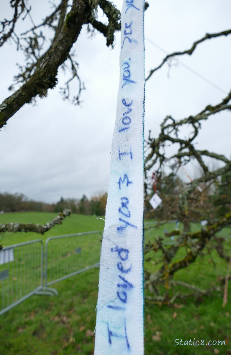 Blue Streamer with writing on it