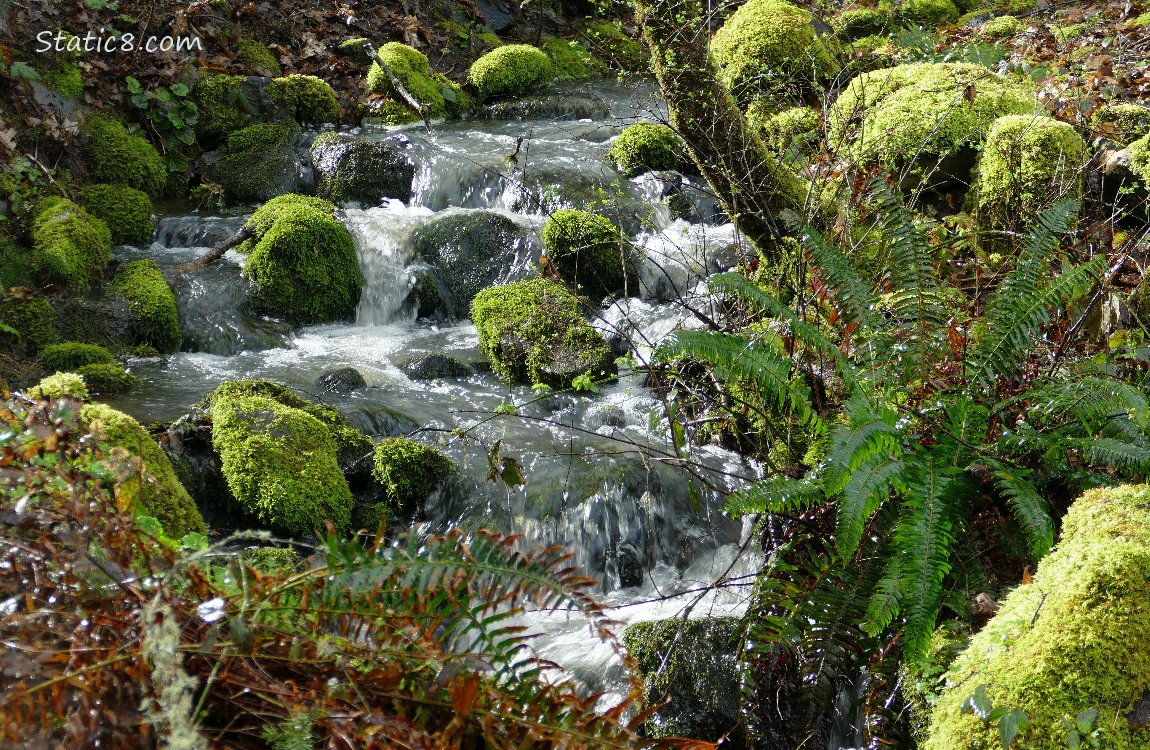 Waterfall with mossy rocks