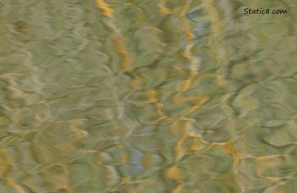 Green and Yellow reflections in the water