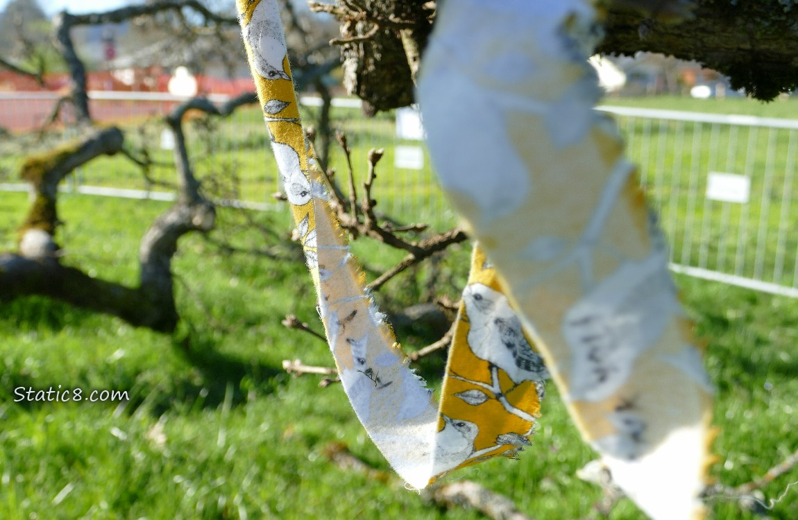 Yellow streamer with bird design hanging from a branch