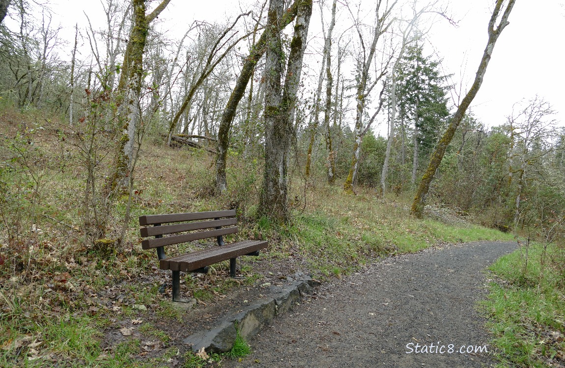 Bench next to the path