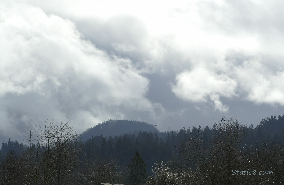 Clouds over the trees on the hill