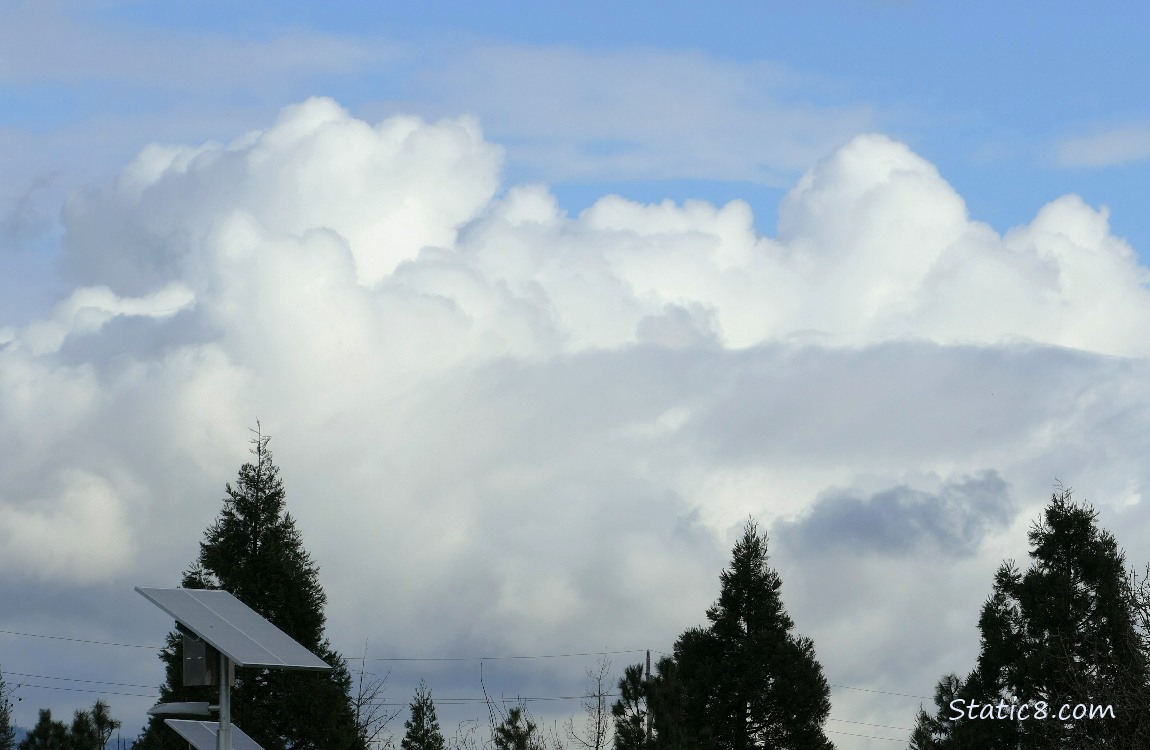 Puffy white clouds over trees and a solar panel