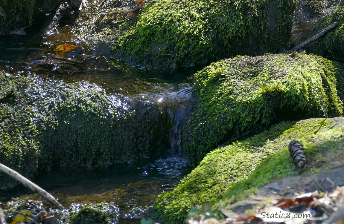 Water falling over a mossy rock