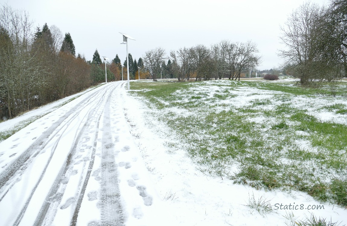 Snow along the bike path