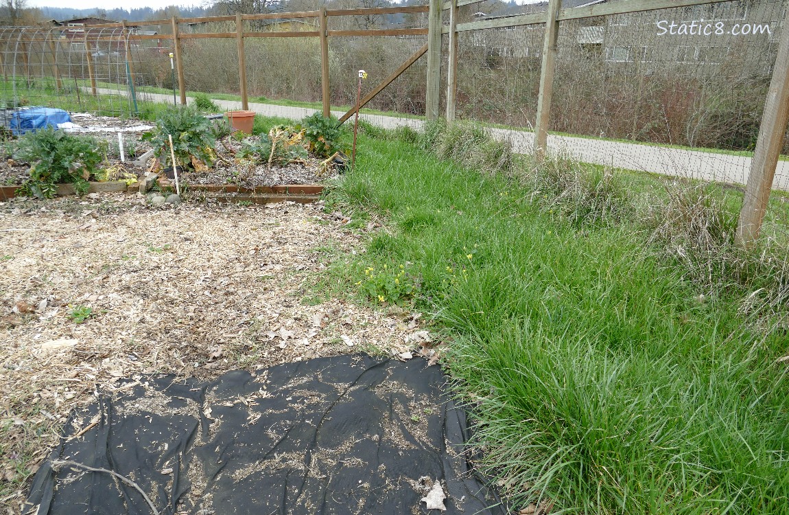 Garden Plot next to a fence