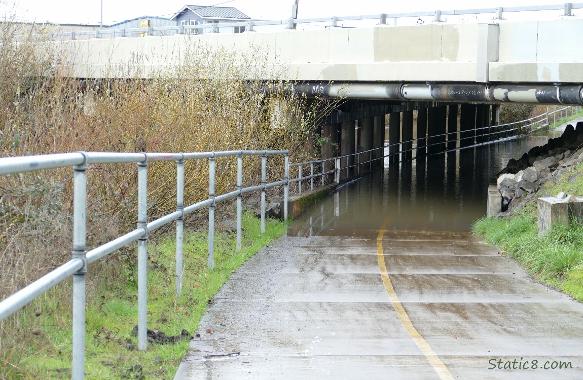 Flooded bike path going under a car bridge