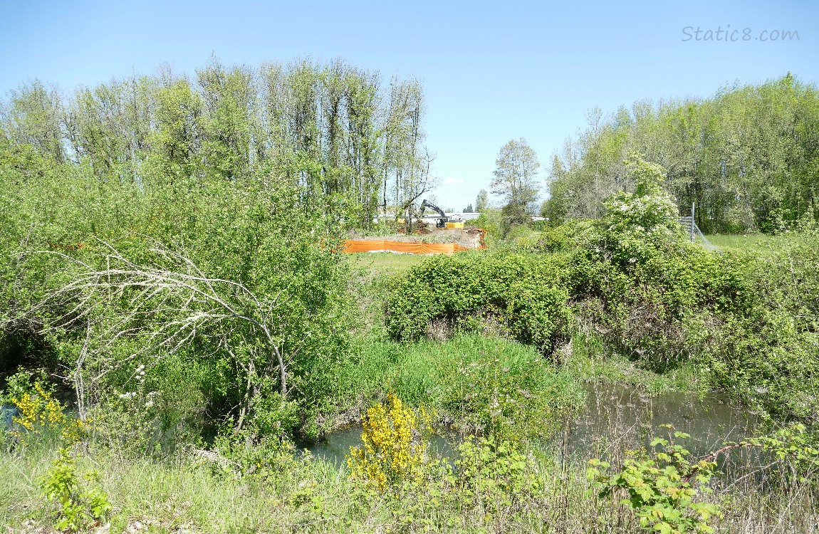 digging machine, past the trees of the creek