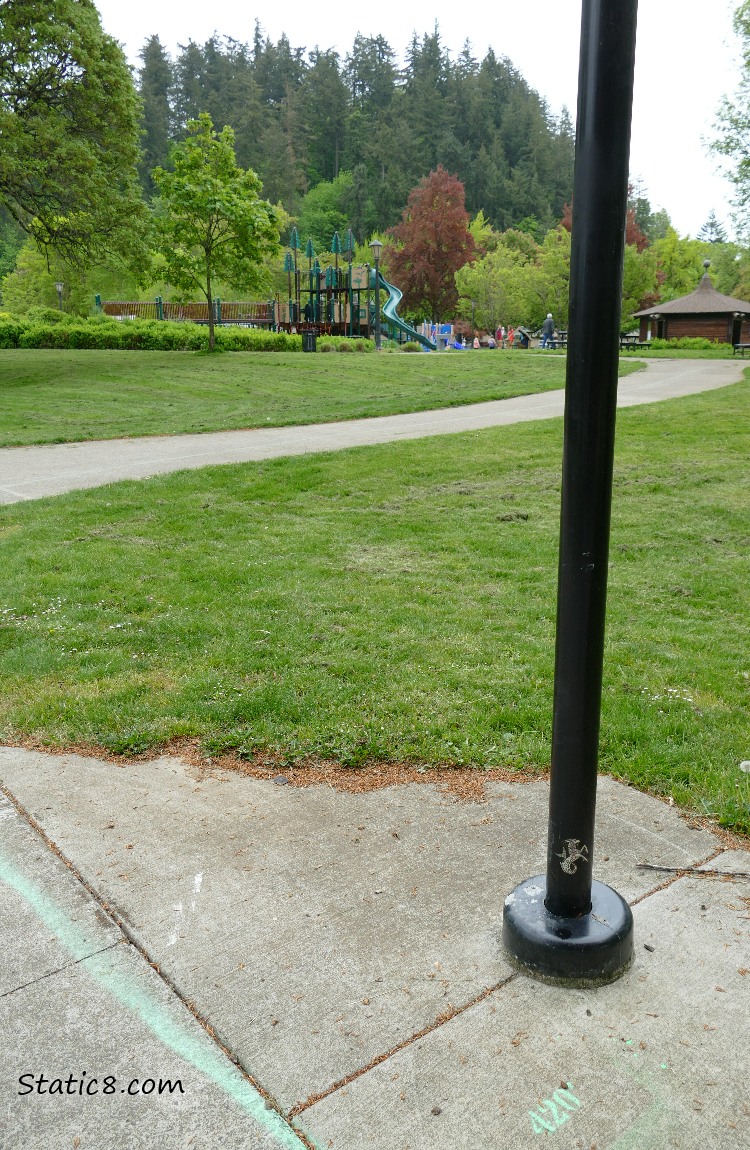 Green line on the path with a slide playground equipment