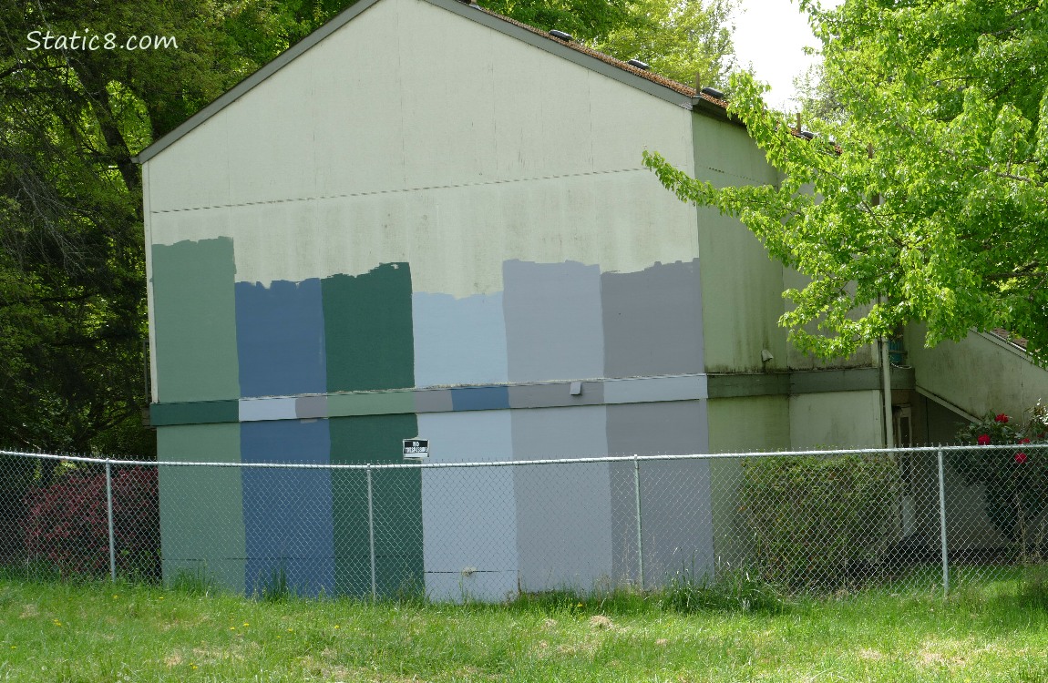 Side of an apartment building with swatches of blues, greys and greens painted
