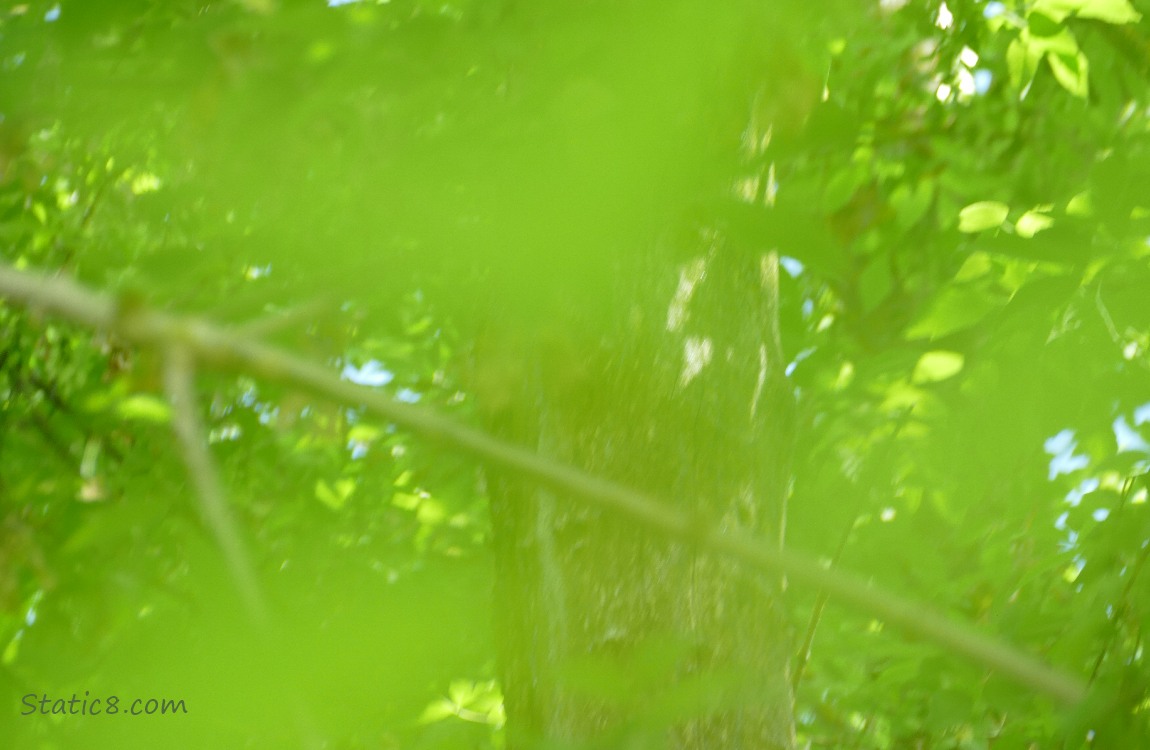 Green blur