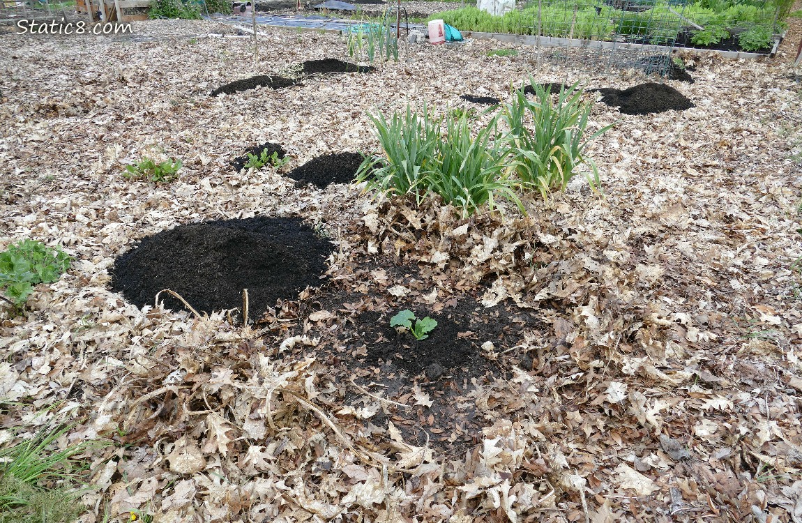 Garden plot