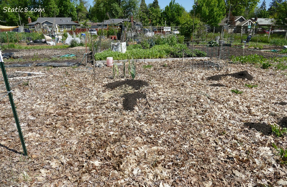 Garden plot