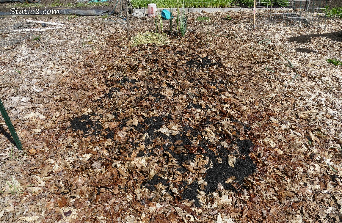 Garden plot