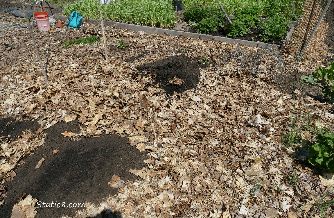 Garden plot
