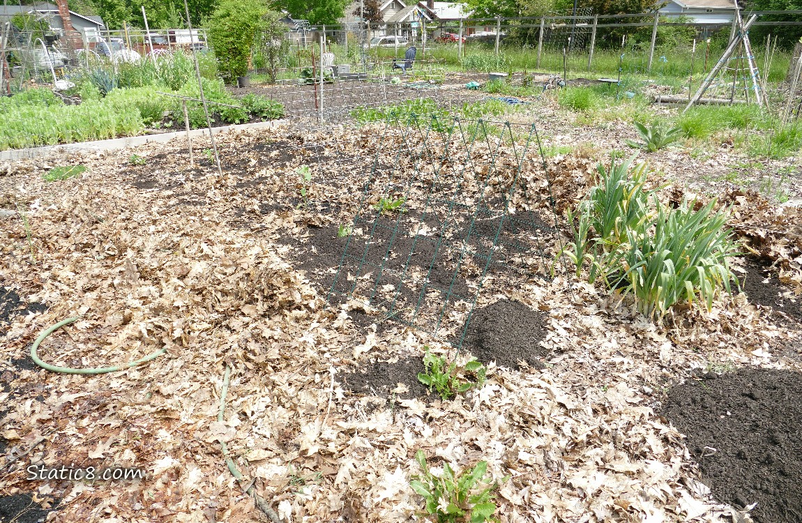 Garden plot