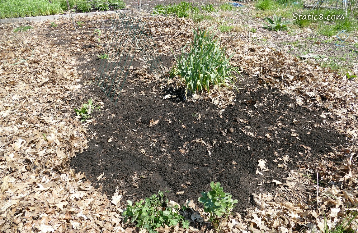 Garden Plot
