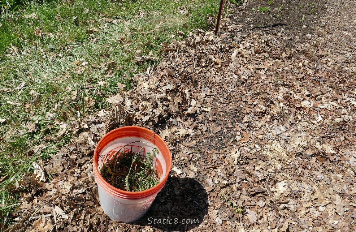 Garden plot