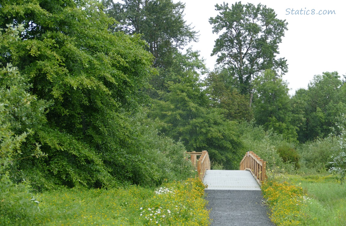 Trail