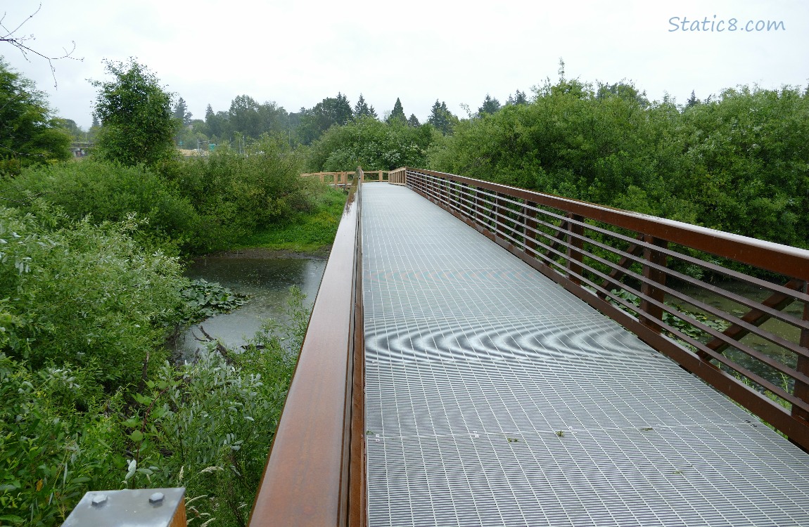 Walking bridge