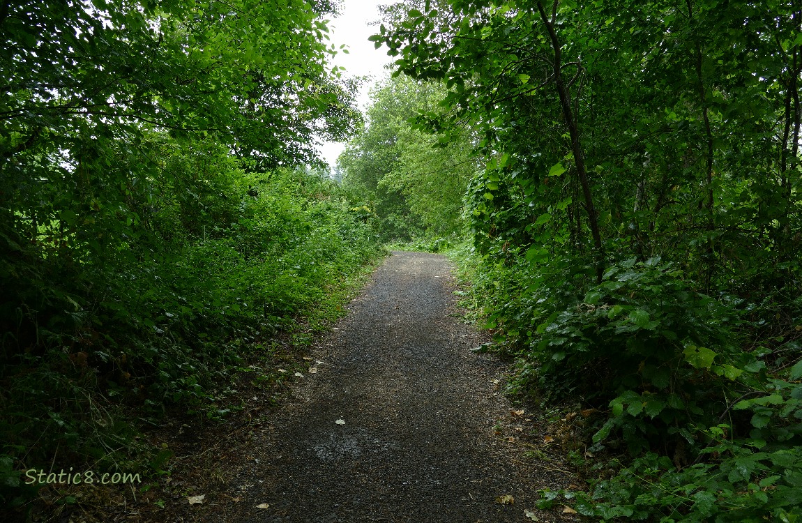 End of the trail