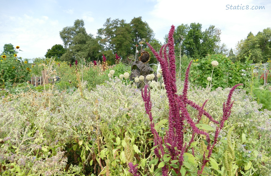 Garden plot