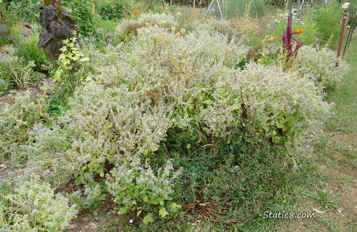 Garden plot