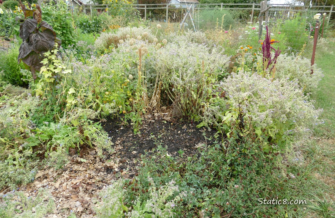 Garden Plot