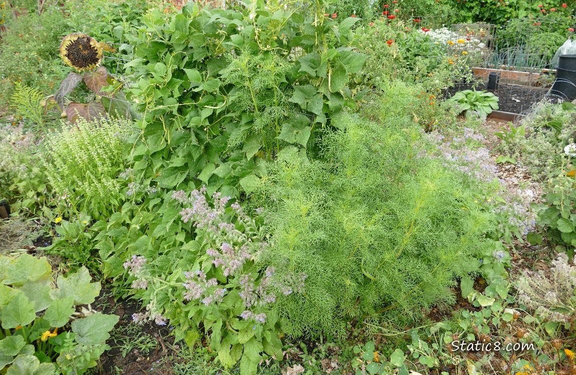 Garden plot