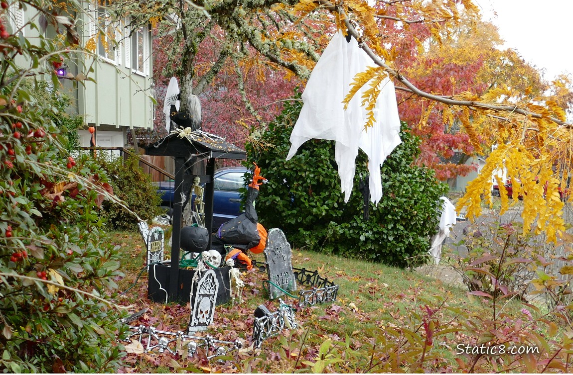 Halloween decorations in a yard