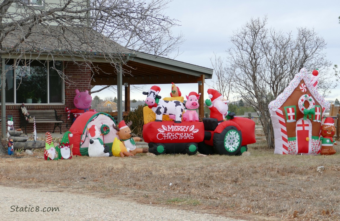 Inflatable xmas decorations on a front lawn