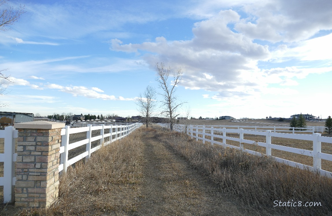 A path between white fences, blue sky above