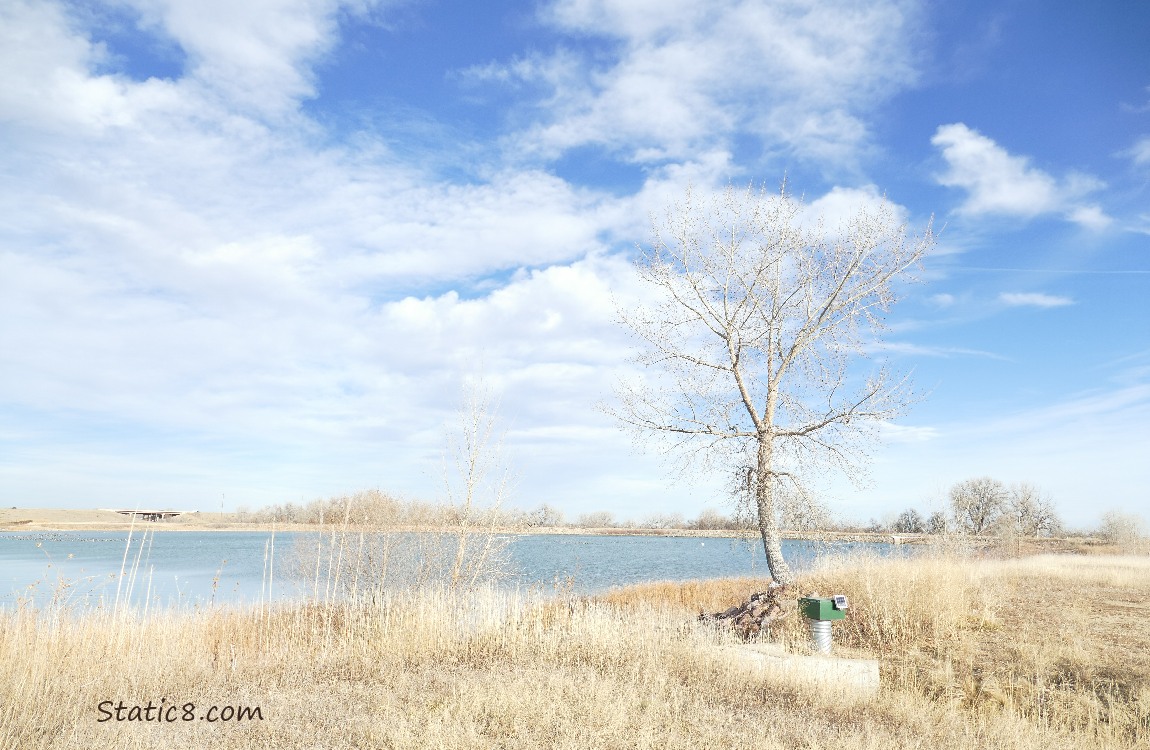Lake under blue sky with white clouds