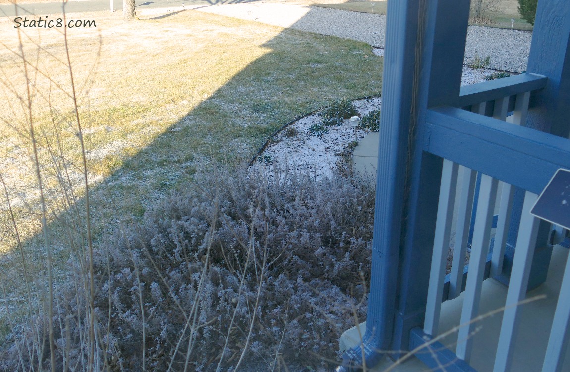 Dusting of snow in the lawn