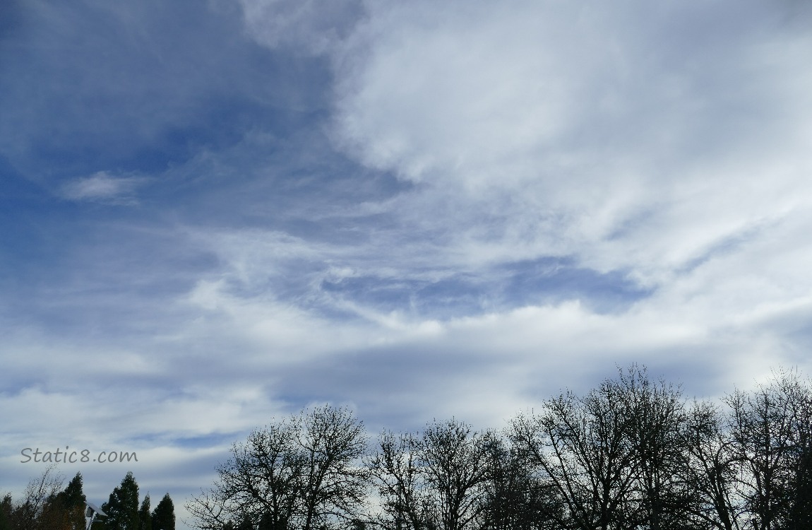 Sky with wispy clouds