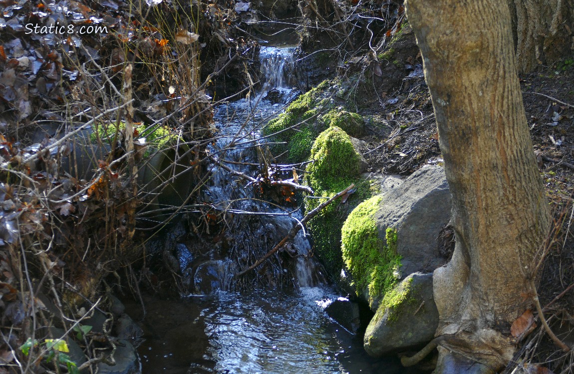 waterfall with mossy rocks