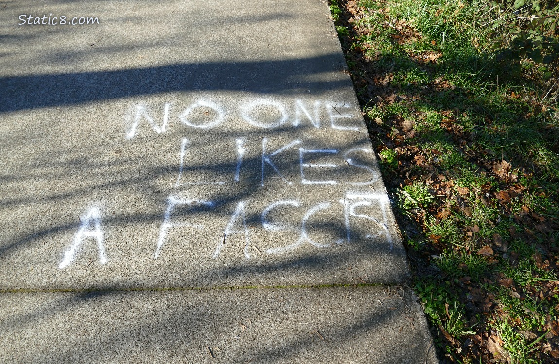 Words spray painted on the bike path