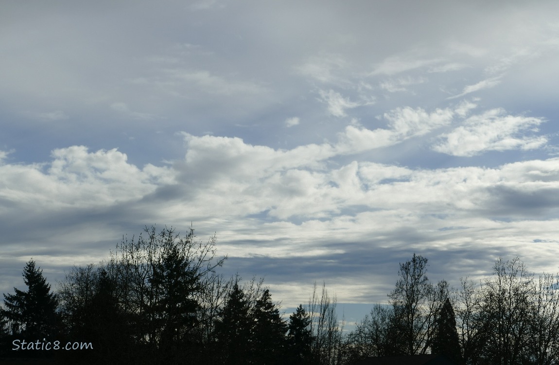 Clouds over the silhouette of trees