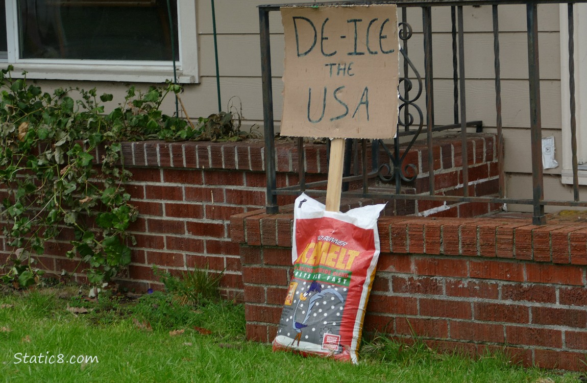 Protest Sign, De-ICE the USA, with a bag of ice melt