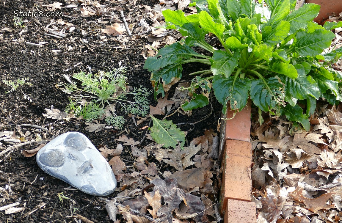 Rock painted like an alien face in a garden