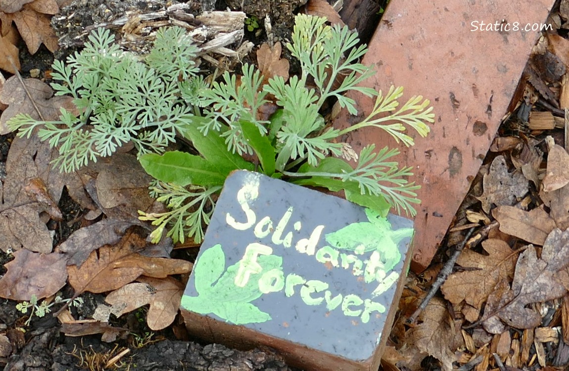 Brick in a garden that says Solidarity Forever