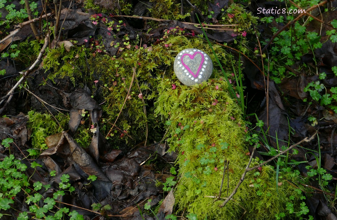 Rock painted with a heart, laying on the forest floor