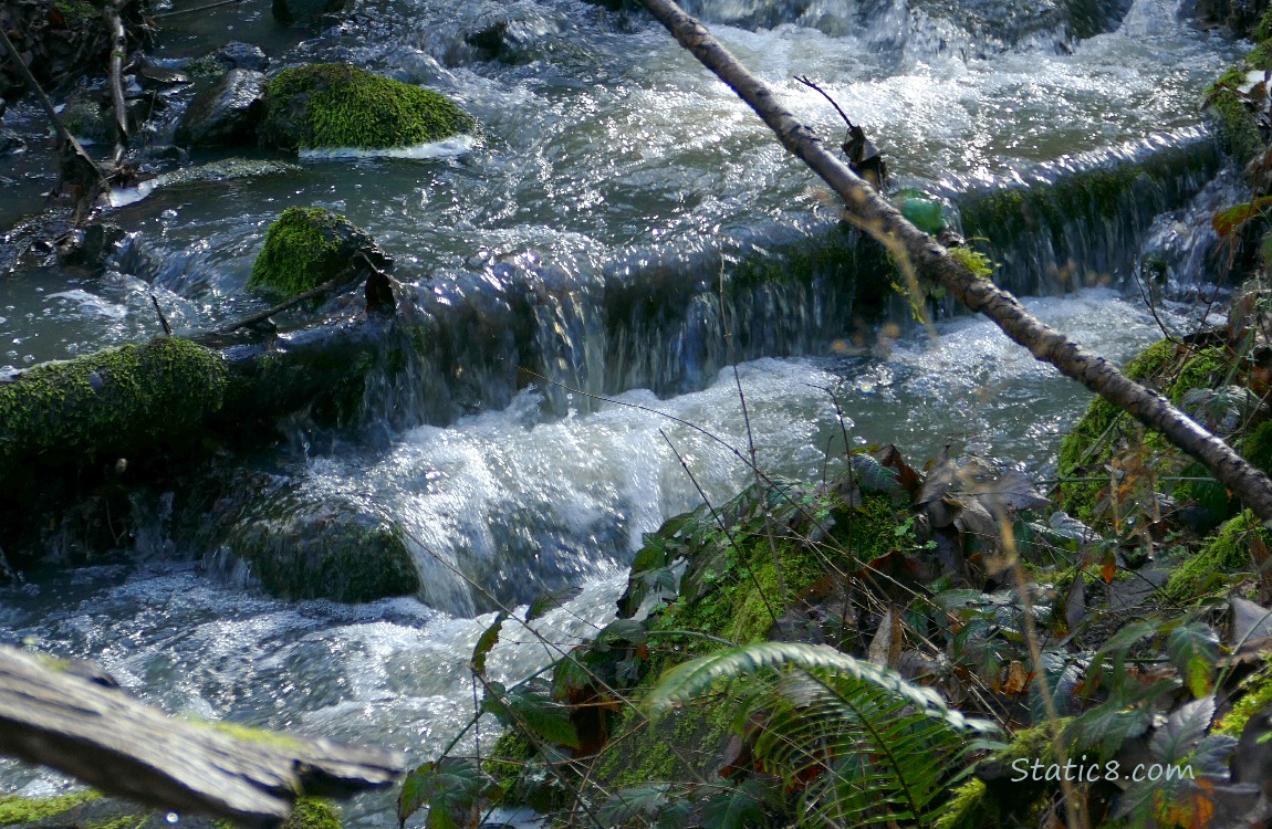 Water going over fallen trees and rocks