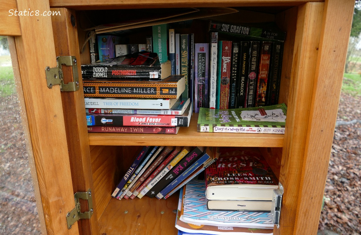 Little Free Library opened to show books