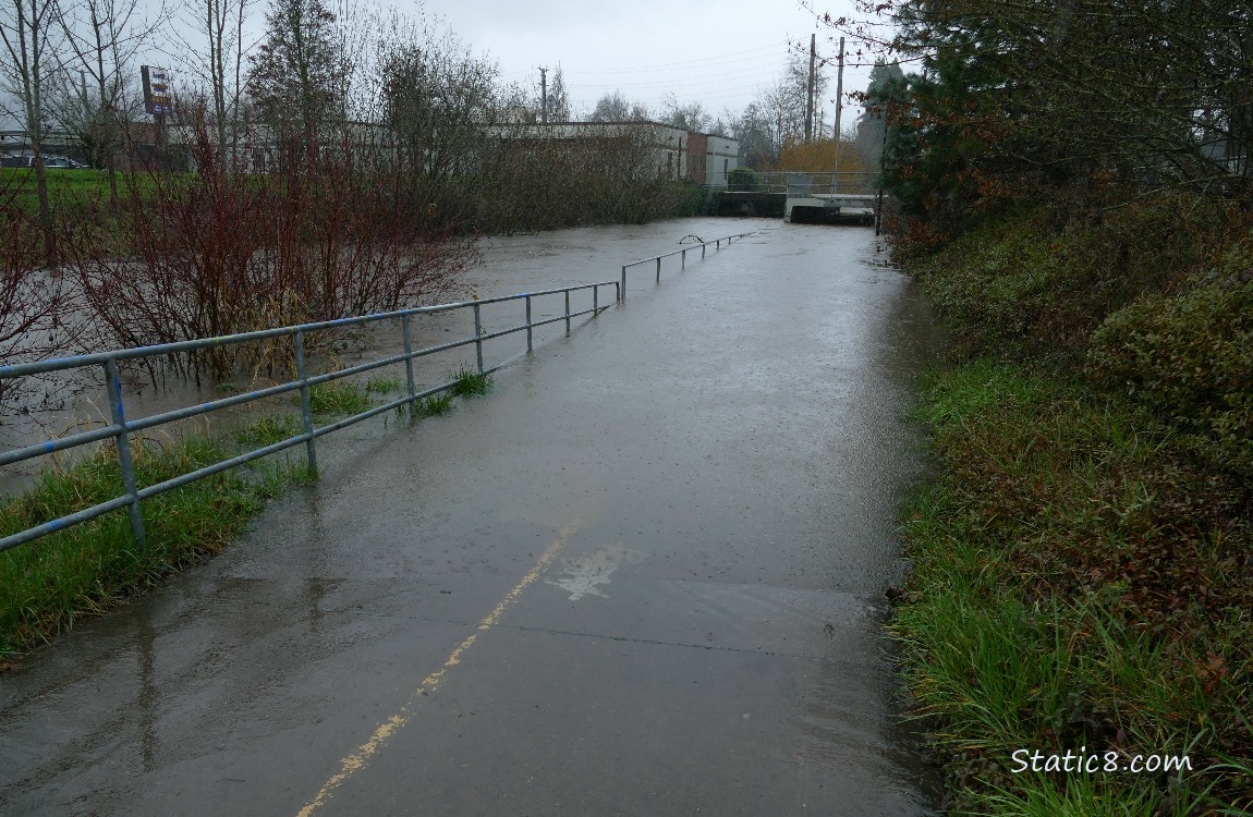 Flooded path