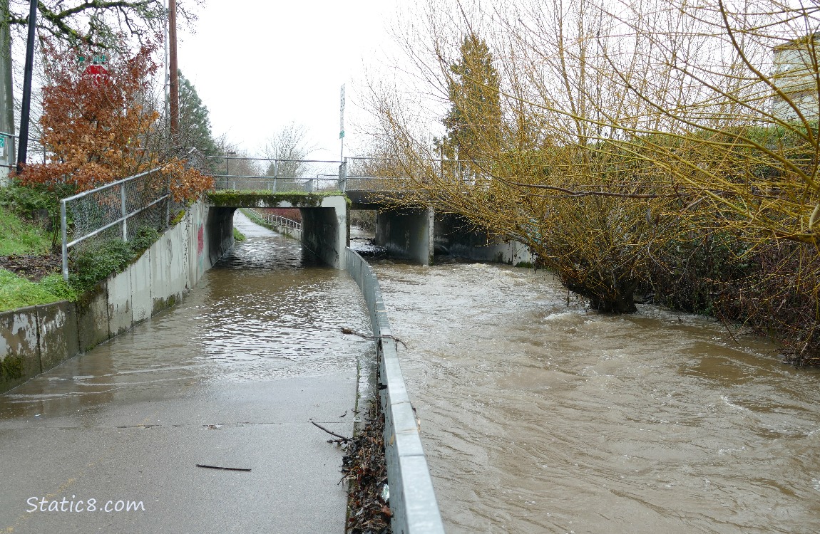 Flooded bike path going under a car bridge