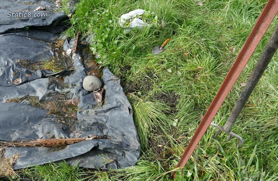 Garden plot covered with black plastic