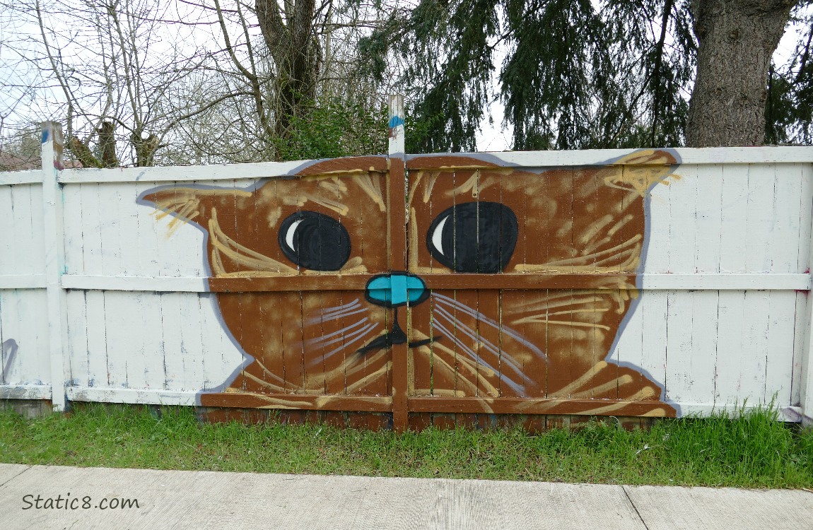 Graffiti of a cat on a wood fence