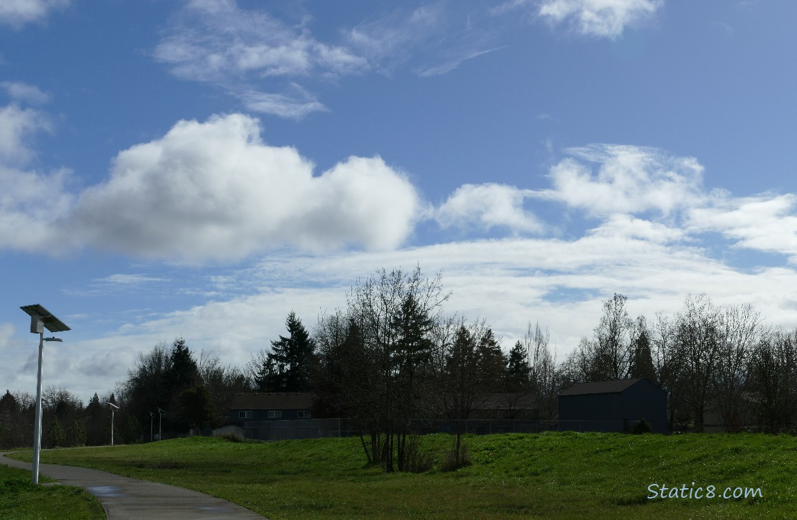 puffy white cloud over the bike path